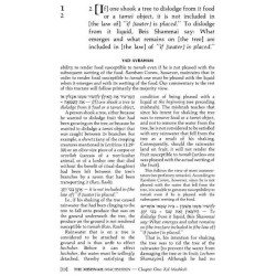 Yad Avraham Mishnah Series:43 Tractates Machshirin | Books | Judaica