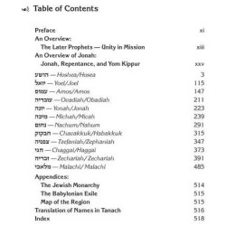 Milstein Twelve Prophets - Leather | Books | Judaica