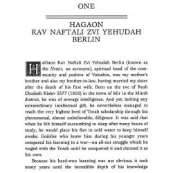 My Uncle The Netziv - Hardcover | Books | Judaica