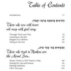 Mountain Climbers 2 - Hardcover | Books | Judaica