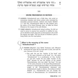 Megillas Esther: The Answer Is... | Books | Judaica