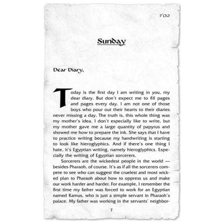 My Last Year in Mitzrayim | Books | Judaica