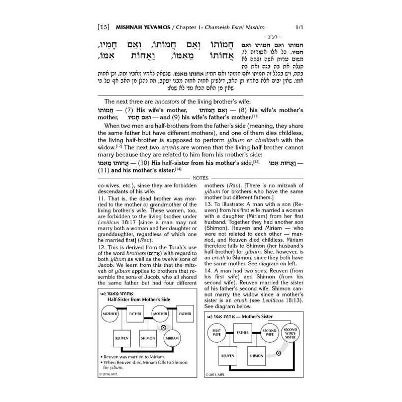 Mishnah Elucidated Personal Size Zeraim 5 Volume S | Books | Judaica