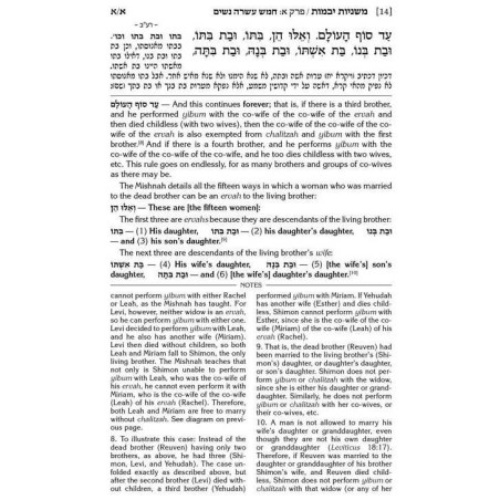 Mishnah Elucidated Nashim Personal Size 5 Volume S | Books | Judaica