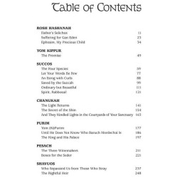 Once Upon A Holiday Story - Hardcover | Books | Judaica