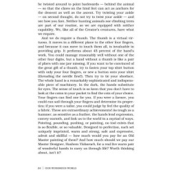 Our Wondrous World - Hardcover | Books | Judaica