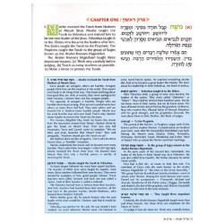 Pirkei Avos - Illustrated Youth Edition Complete 1 | Books | Judaica