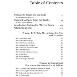 Praying with Fire Volume 2 - Paperback | Books | Judaica