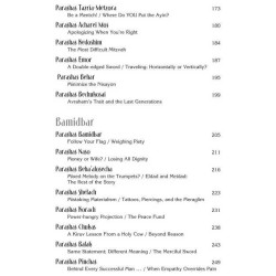 Rabbi Frand On the Parashah Volume 3 - Hardcover | Books | Judaica