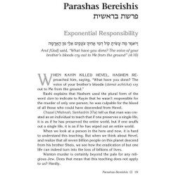 Rabbi Frand On the Parashah Volume 3 - Hardcover | Books | Judaica