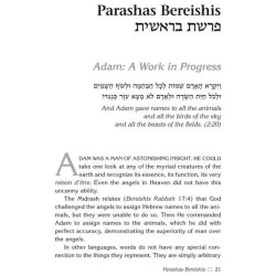 Rabbi Frand On the Parashah - Hardcover | Books | Judaica