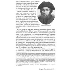 Rabbi Samson Raphael Hirsch - Hardcover | Books | Judaica