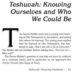 Rabbi Yissocher Frand: In Print - Hardcover | Books | Judaica