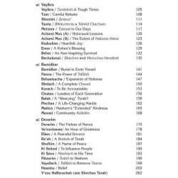 Rav Pam on Haftaros | Books | Judaica