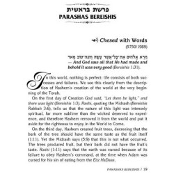 Rav Pam on Chumash - Hardcover | Books | Judaica