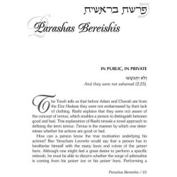 Rav Wolbe on Chumash | Books | Judaica