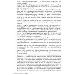 Rav Schwab on Ezra and Nechemiah | Books | Judaica