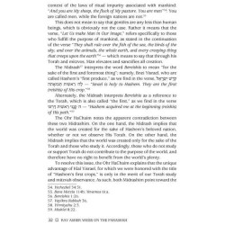 Rav Asher Weiss on the Parashah Bereishis/She | Books | Judaica