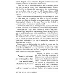 Rav Wolbe on Chumash Volume 2 | Books | Judaica