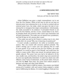 Rav Wolbe on Chumash Volume 2 | Books | Judaica