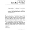 Rav Asher Weiss Parashah Vayikra/Bamidbar/Devarim | Books | Judaica