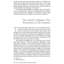 Rav Asher Weiss Parashah Vayikra/Bamidbar/Devarim | Books | Judaica