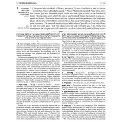 Rubin Edition of the Prophets: Joshua and Judges | Books | Judaica