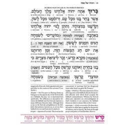 Schottenstein Ed Interlinear Haggadah - Hardcover | Passover | Judaica