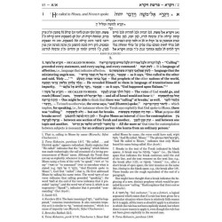 Sapirstein Edition Rashi - 3 - Vayikra - Full Size | Books | Judaica