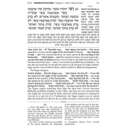 Schottenstein Ed. Mishnah Elucidated Gryfe Ed Sede | Books | Judaica