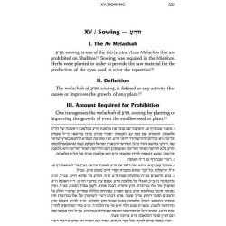 The Shabbos Home Volume 2 - Hardcover | Books | Judaica