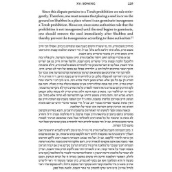 The Shabbos Home Volume 2 - Hardcover | Books | Judaica