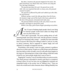 Shidduch Secrets - Hardcover | Books | Judaica