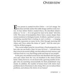 Shidduchim Shalom Bayis Beyond - Hardcover | Books | Judaica