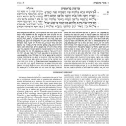 Rabbi Sion Levy Edition of the Chumash in Spanish  | Books | Judaica