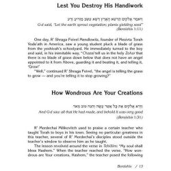 Stories My Grandfather Told Me Volume 5 -- Devarim | Books | Judaica