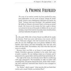 Stories That Light Up Your Heart - Hardcover | Books | Judaica