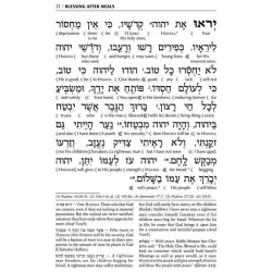 Schottenstein Edition Interlinear Birchon - White  | Books | Judaica
