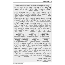 Schottenstein Edition Interlinear Birchon - White  | Books | Judaica