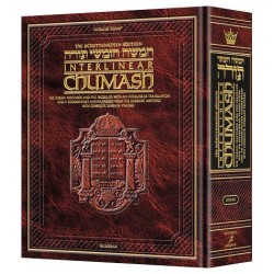 Schottenstein Interlinear Complete Chumash - Trave | Books | Judaica