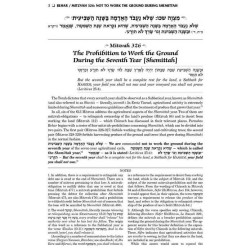 Schottenstein Edition Sefer Hachinuch / Book of Mi | Books | Judaica