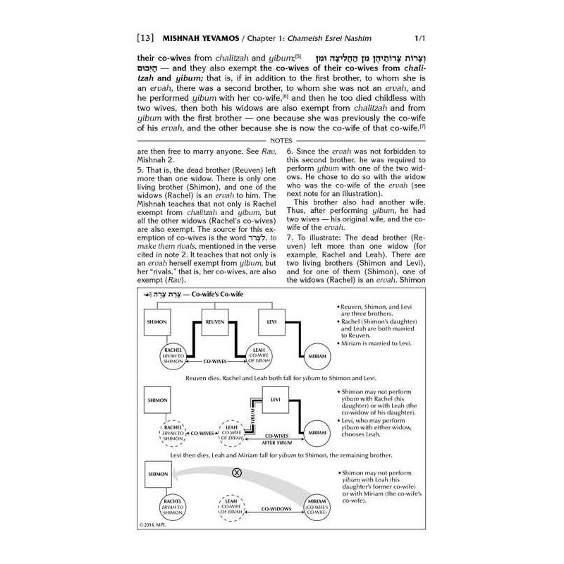 Schottenstein Edition Mishnah Elucidated Kodashim  | Books | Judaica