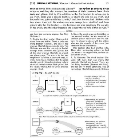 Schottenstein Edition Mishnah Elucidated Kodashim  | Books | Judaica