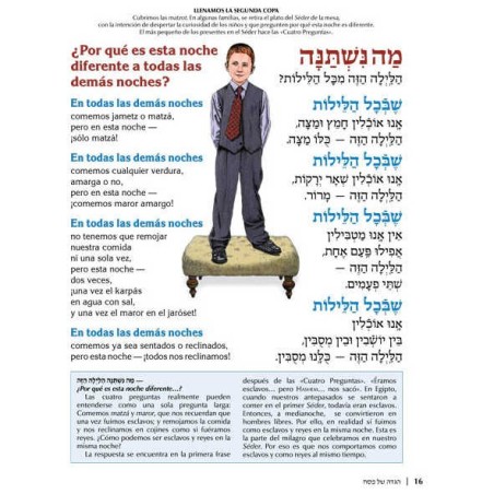 Spanish Illustrated Haggadah - Paperback | Passover | Judaica