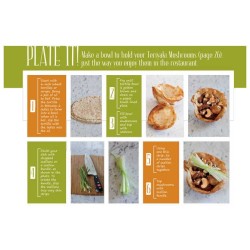 Starters & Sides Made Easy - Paperback | Books | Judaica