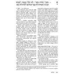 Spanish Tehillim Vol. 1 | Books | Judaica