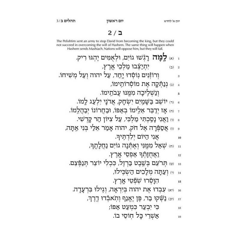 Tehillim Hebrew Only - Chinuch Rinas Eliyahu | Books | Judaica