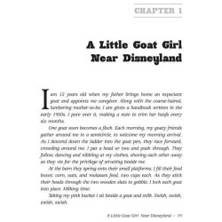 The Mountain Family - Hardcover | Books | Judaica