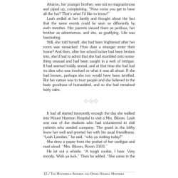 The Mysterious Shoebox and Other Leah Lamdan Holid | Books | Judaica