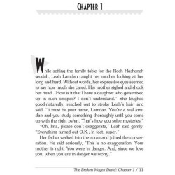 The Mysterious Shoebox and Other Leah Lamdan Holid | Books | Judaica